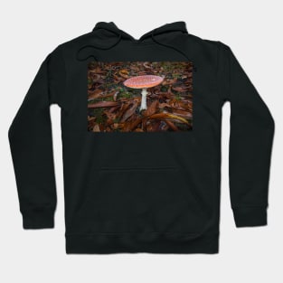 Fly agaric, Amanita muscaria Hoodie